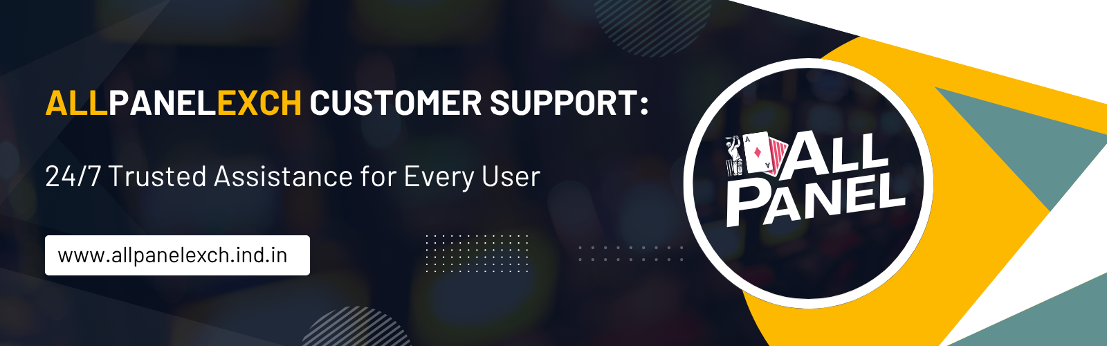 AllPanelExch Customer Support: 24/7 Trusted Assistance for Every User